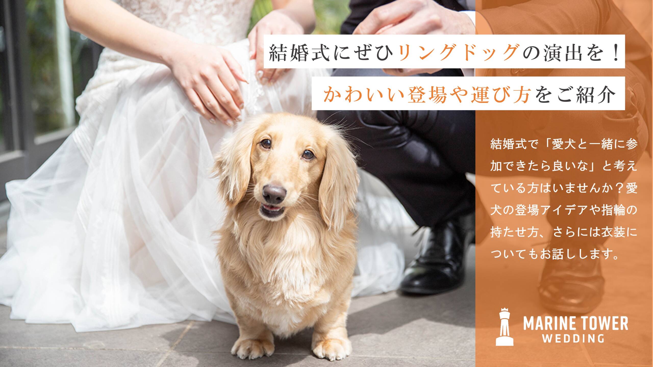 結婚式にぜひリングドッグの演出を！かわいい登場や運び方をご紹介 
