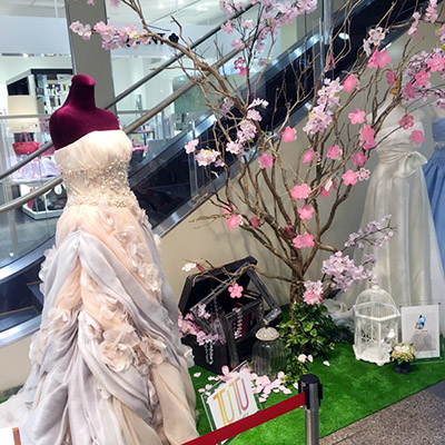 桜×ドレス