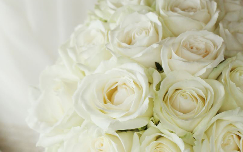 12本のバラに込められた想い